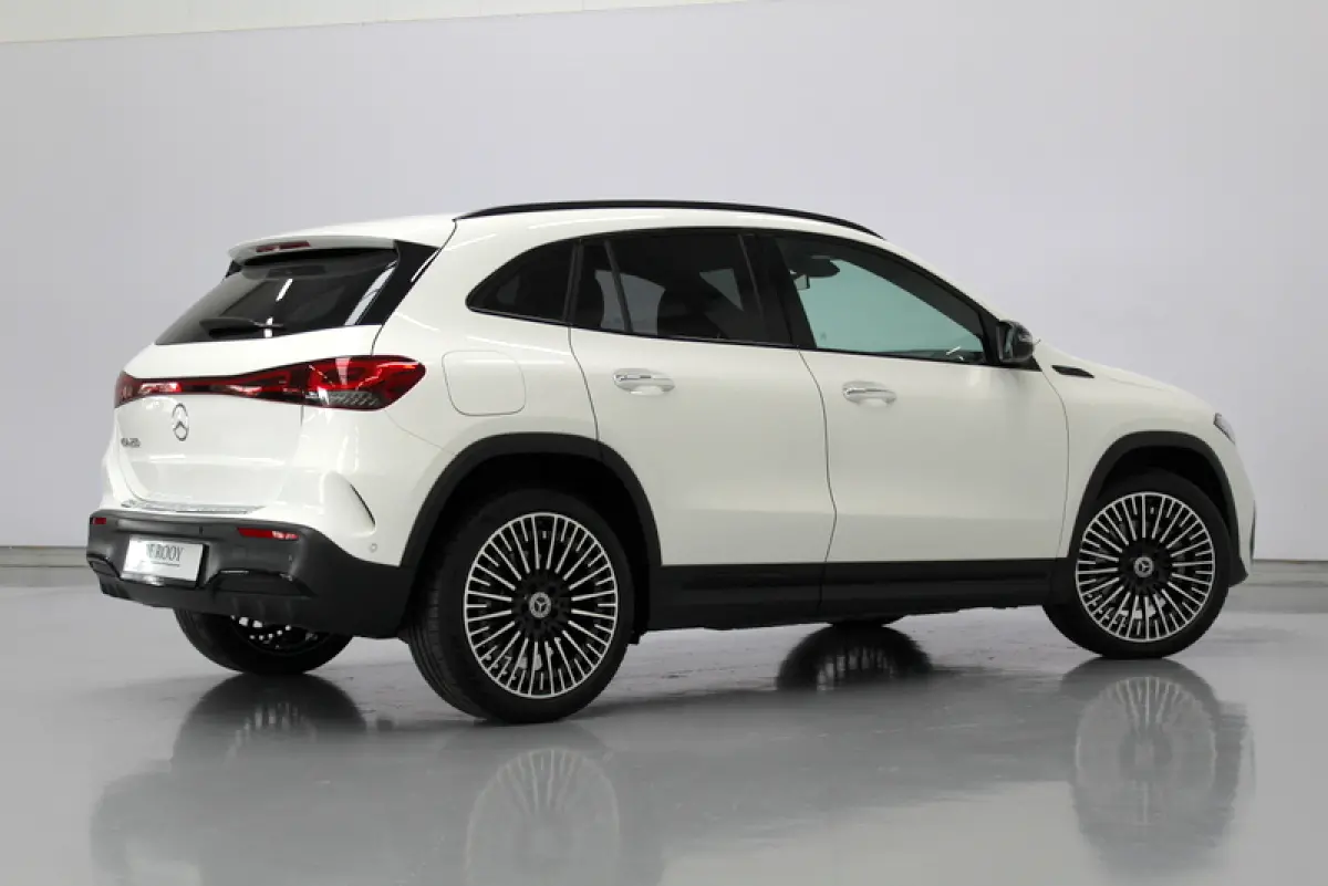250 AMG Line 67 kWh 191PK, RIJKLAAR | ALCANTARA/LEER | CAMERA | STOELVERWARMING | 20" LM-VELGEN