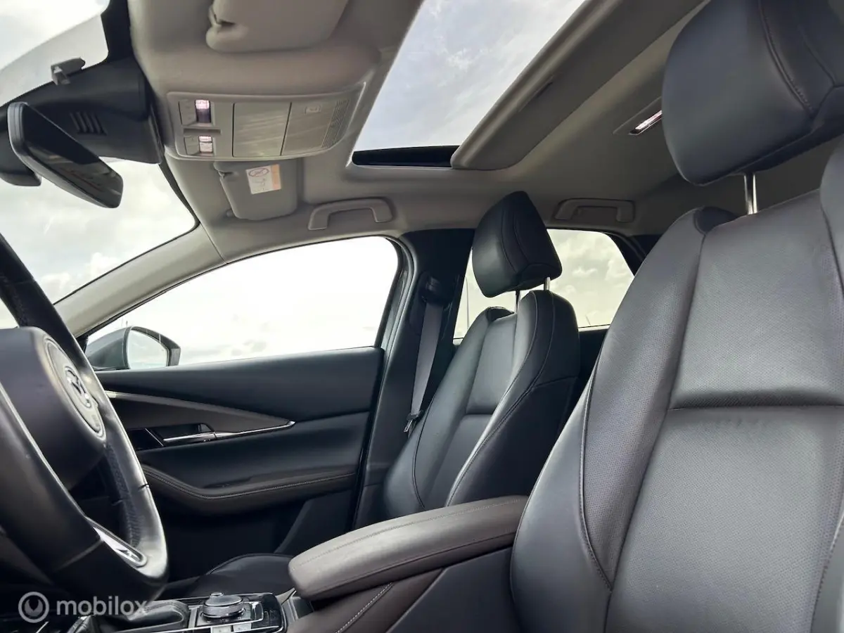 2.0 e-SkyActiv-X M Hybrid Luxury Leer Navi