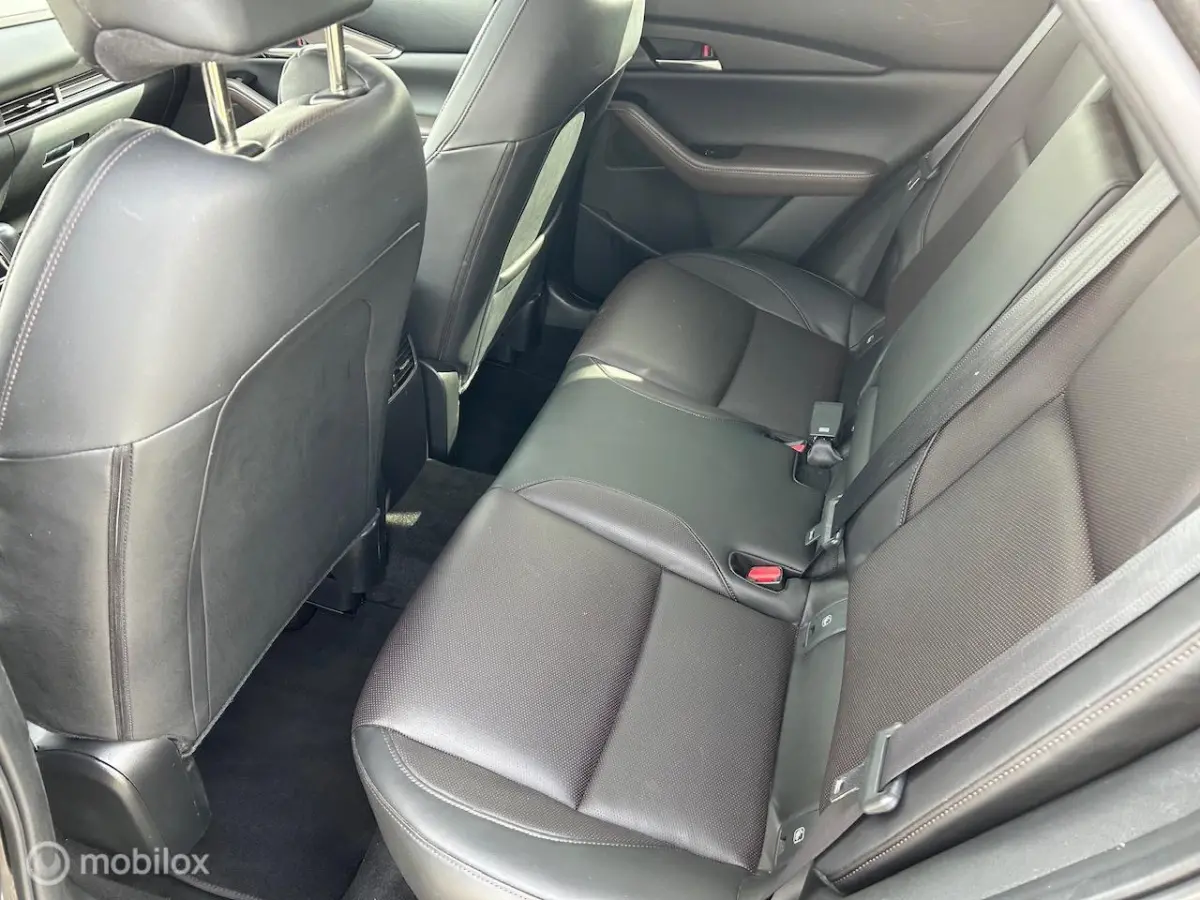 2.0 e-SkyActiv-X M Hybrid Luxury Leer Navi