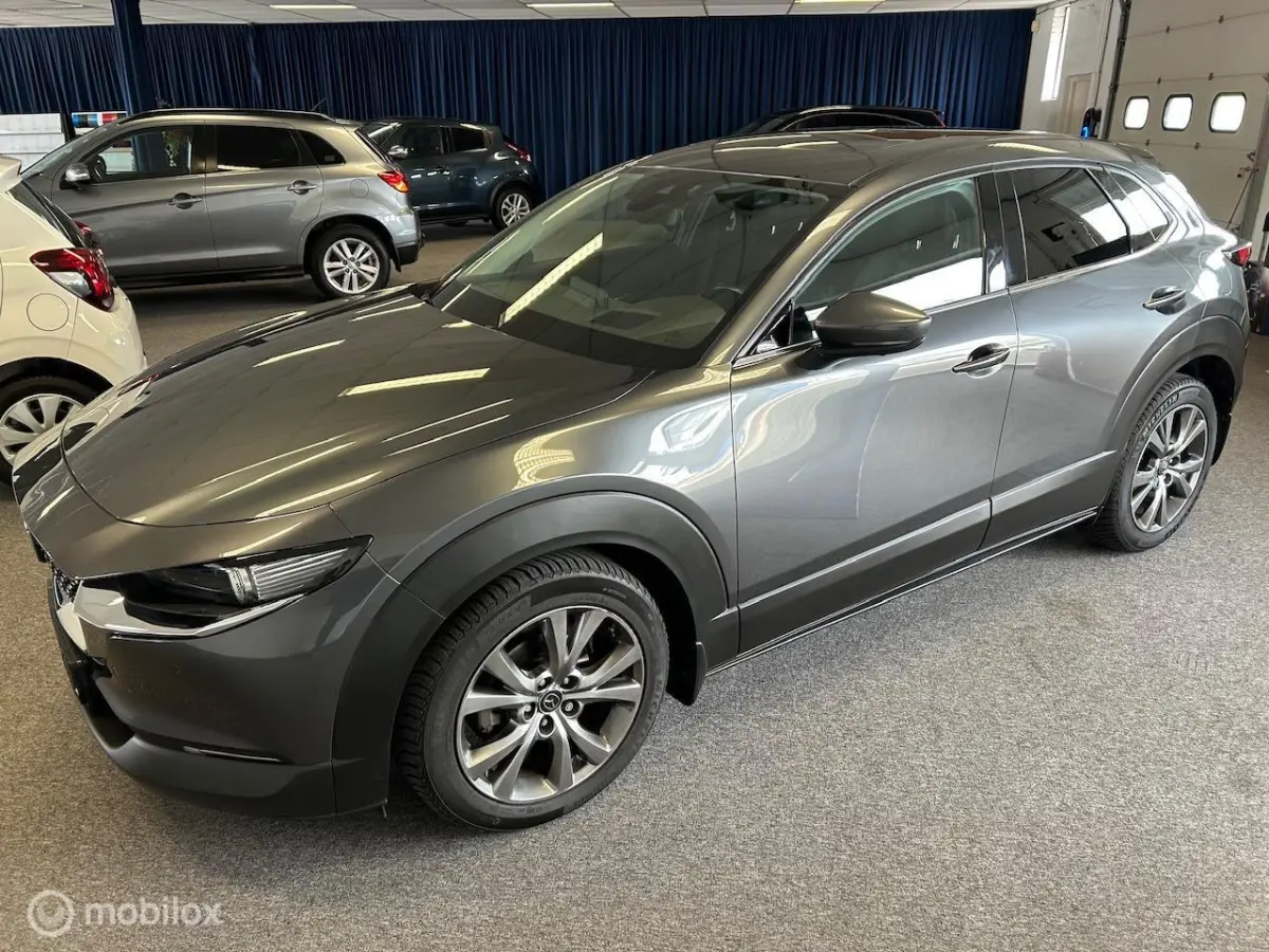 2.0 e-SkyActiv-X M Hybrid Luxury Leer Navi