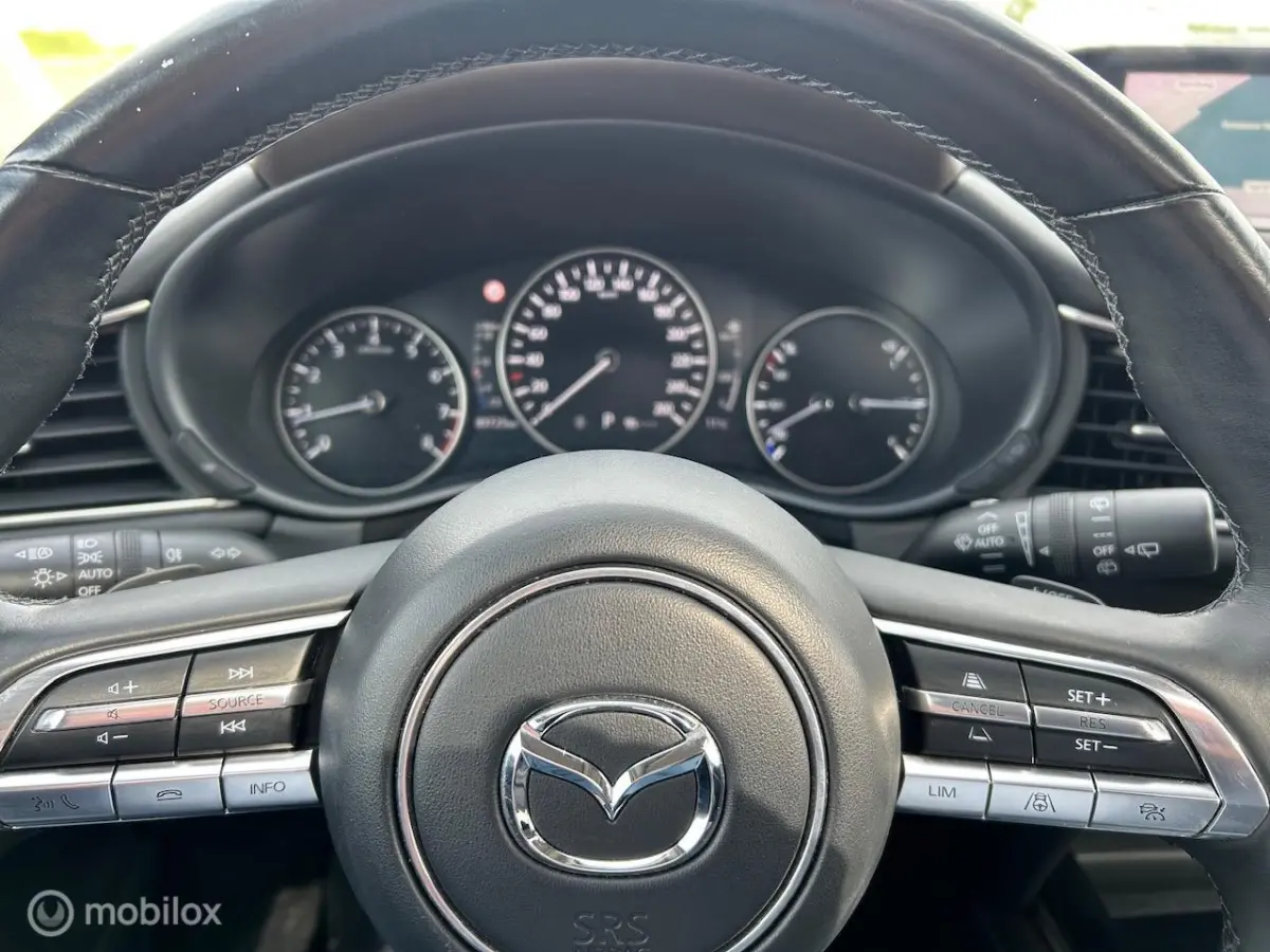 2.0 e-SkyActiv-X M Hybrid Luxury Leer Navi