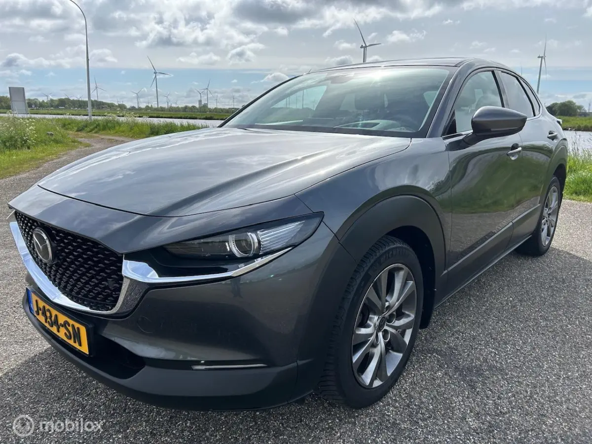 2.0 e-SkyActiv-X M Hybrid Luxury Leer Navi