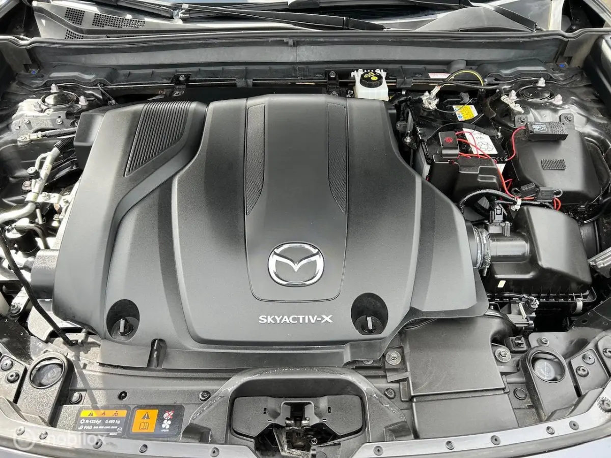 2.0 e-SkyActiv-X M Hybrid Luxury Leer Navi