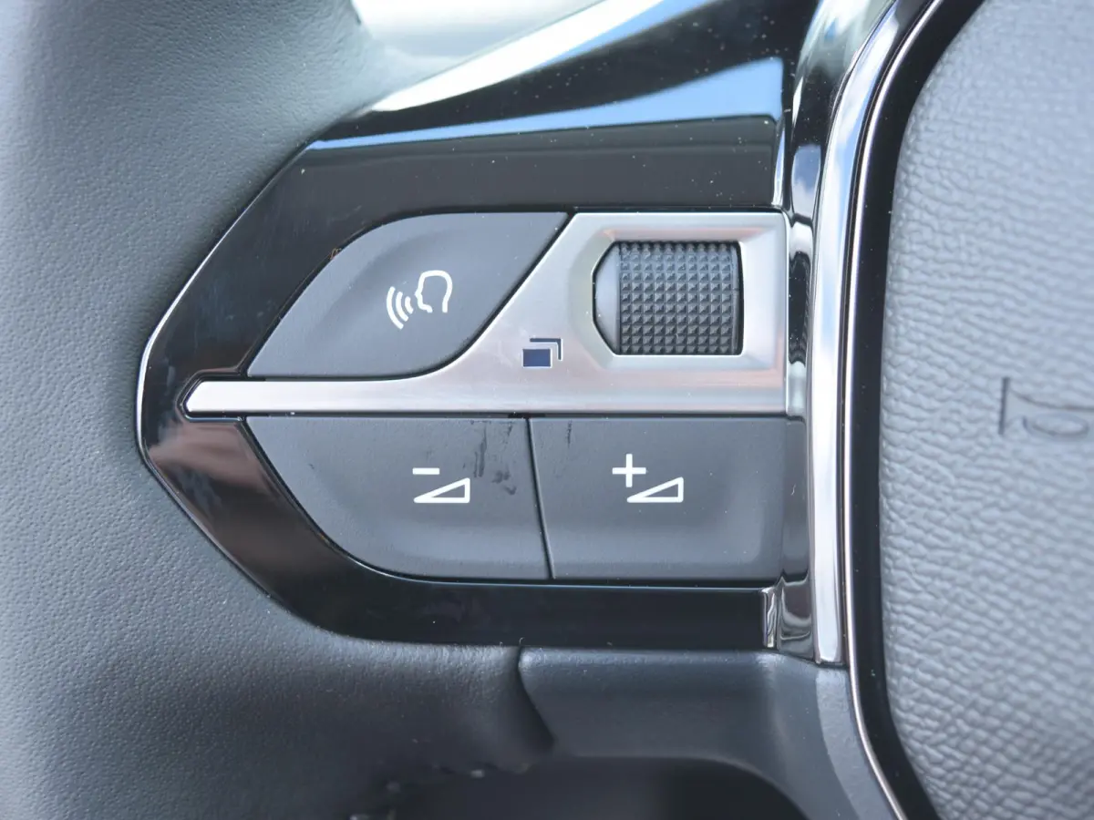 EV Allure Avantage 51 kWh | Vision & Navigation Pack | Warmtepomp  | Parkeersensoren met camera | Climate control | Cruise control |