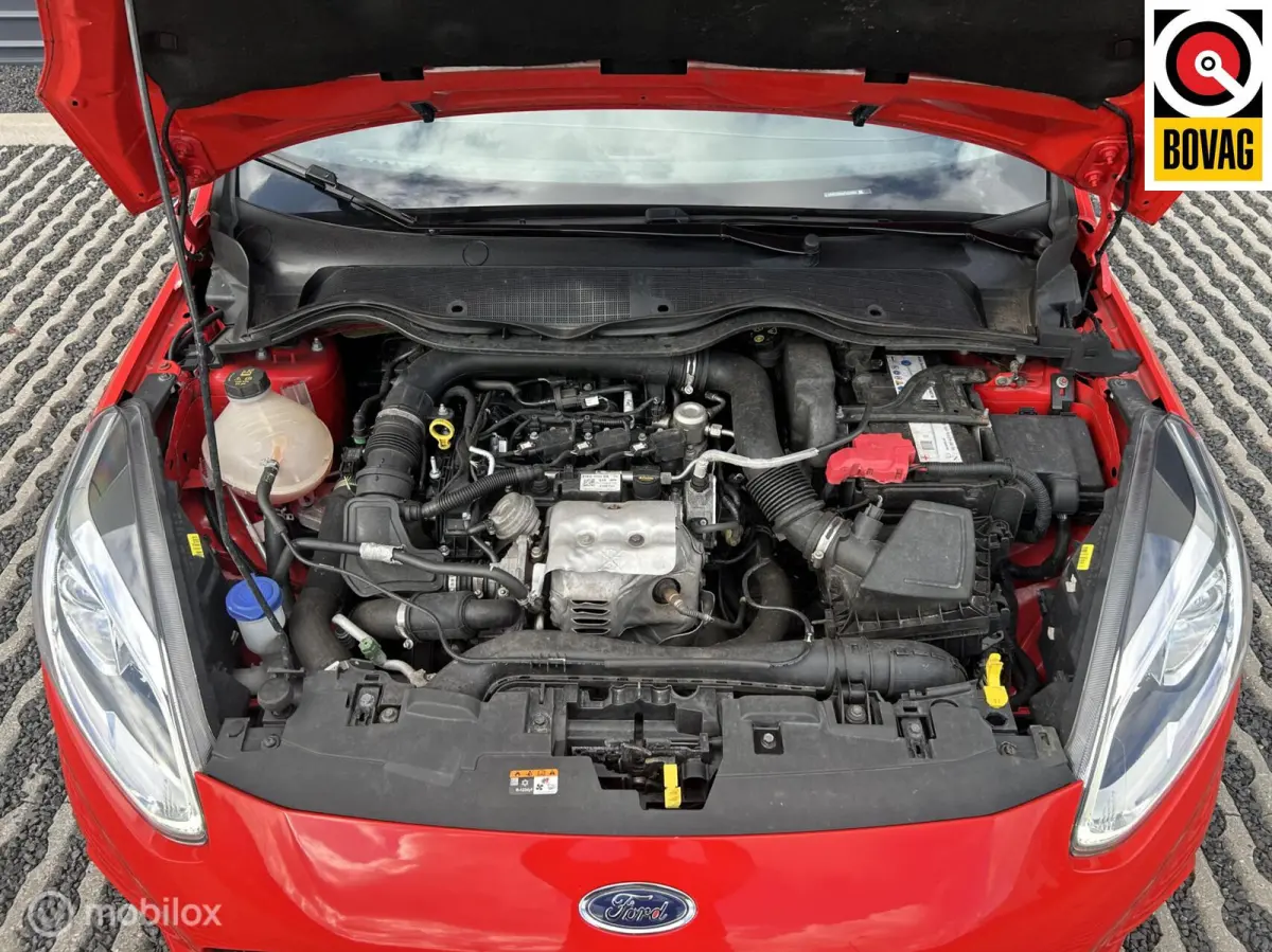1.0 EcoBoost Red Edition | ST Line