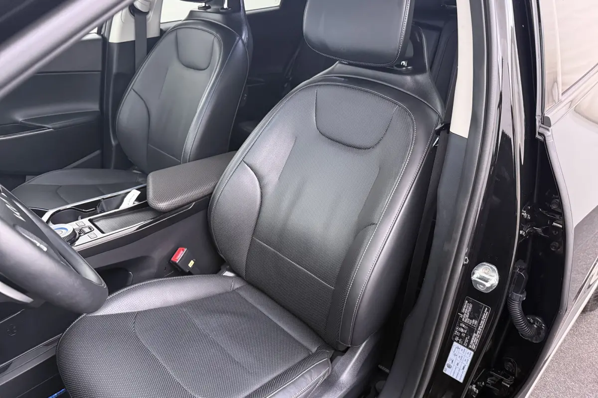 Plus 77.4 kWh (95%SOH) Warmtepomp Meridian Leder Adap.Cruise
