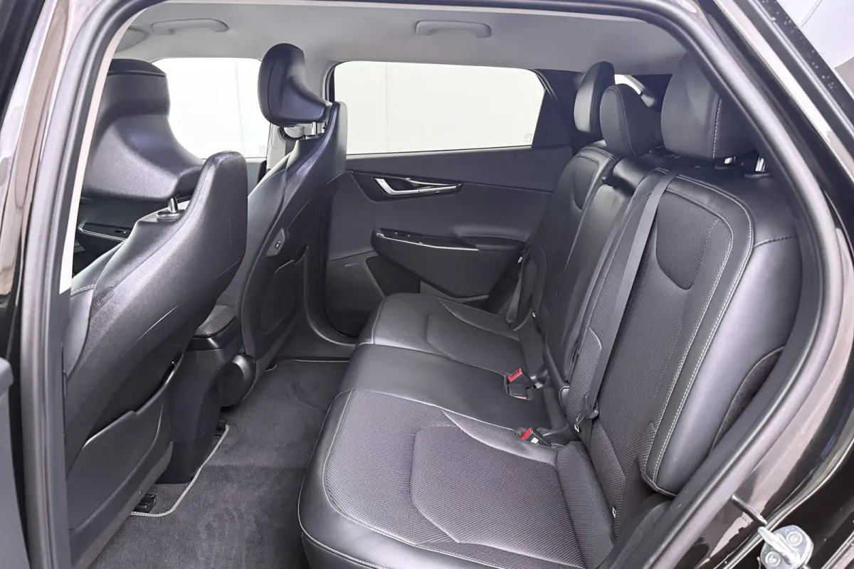 Plus 77.4 kWh (95%SOH) Warmtepomp Meridian Leder Adap.Cruise