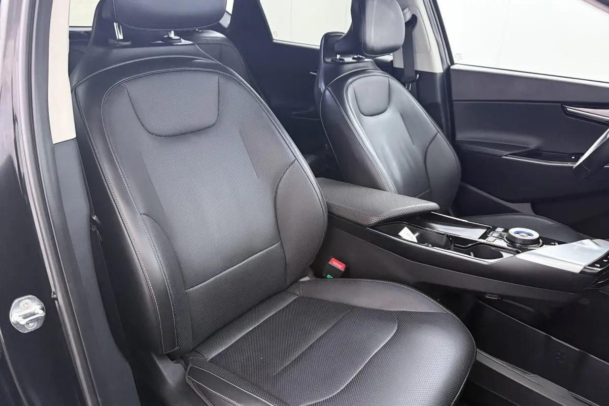 Plus 77.4 kWh (95%SOH) Warmtepomp Meridian Leder Adap.Cruise
