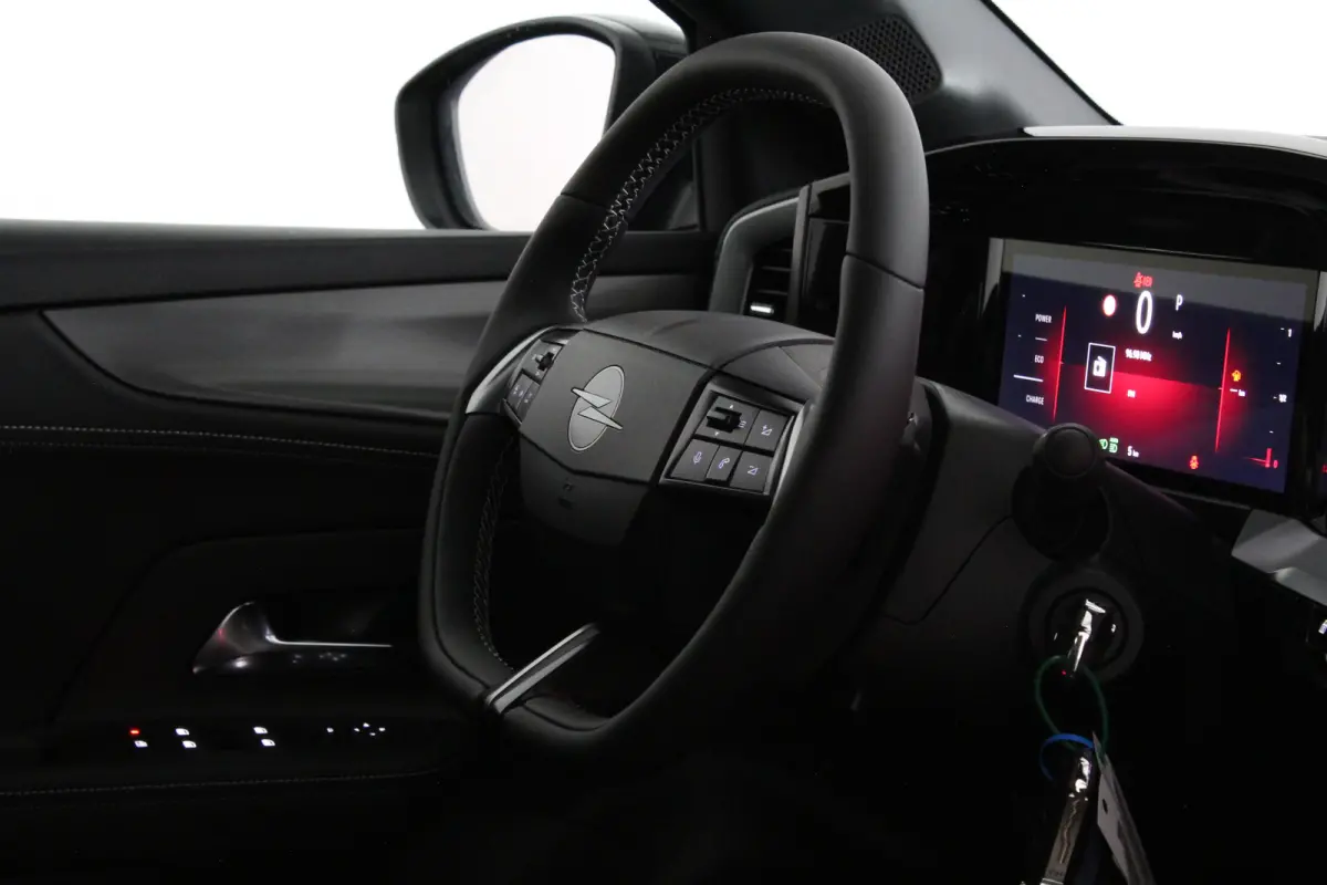 1.2 Turbo Hybrid GS > Camera/Apple Carplay/Android Auto/stuur en stoelverwarming | 5436 |