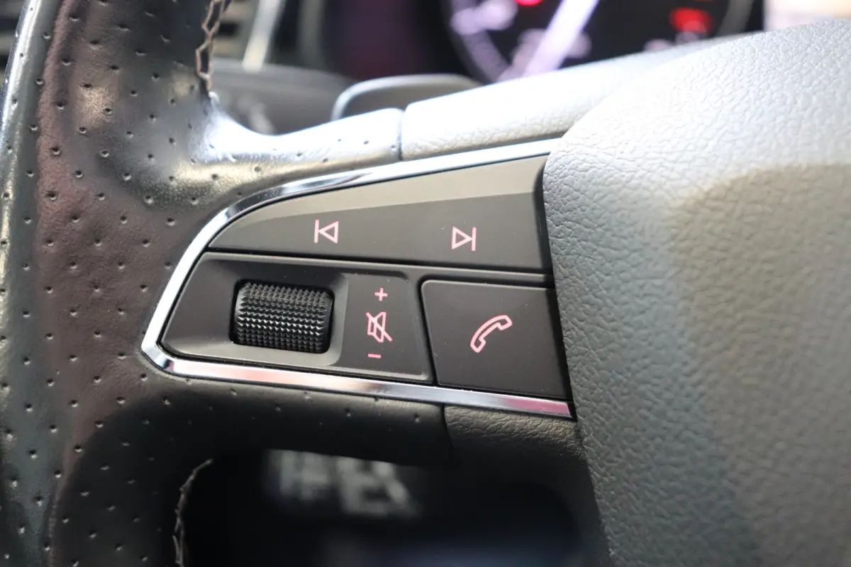 2.0 TSI CUPRA 300 Automaat. Panoramadak.
