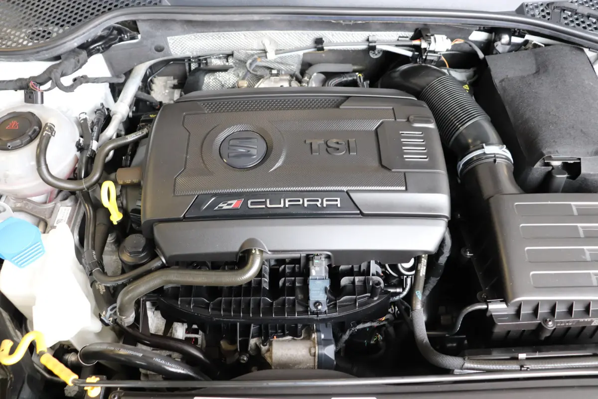 2.0 TSI CUPRA 300 Automaat. Panoramadak.