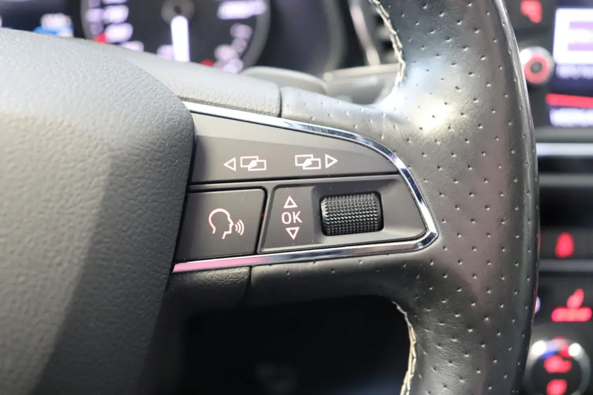 2.0 TSI CUPRA 300 Automaat. Panoramadak.