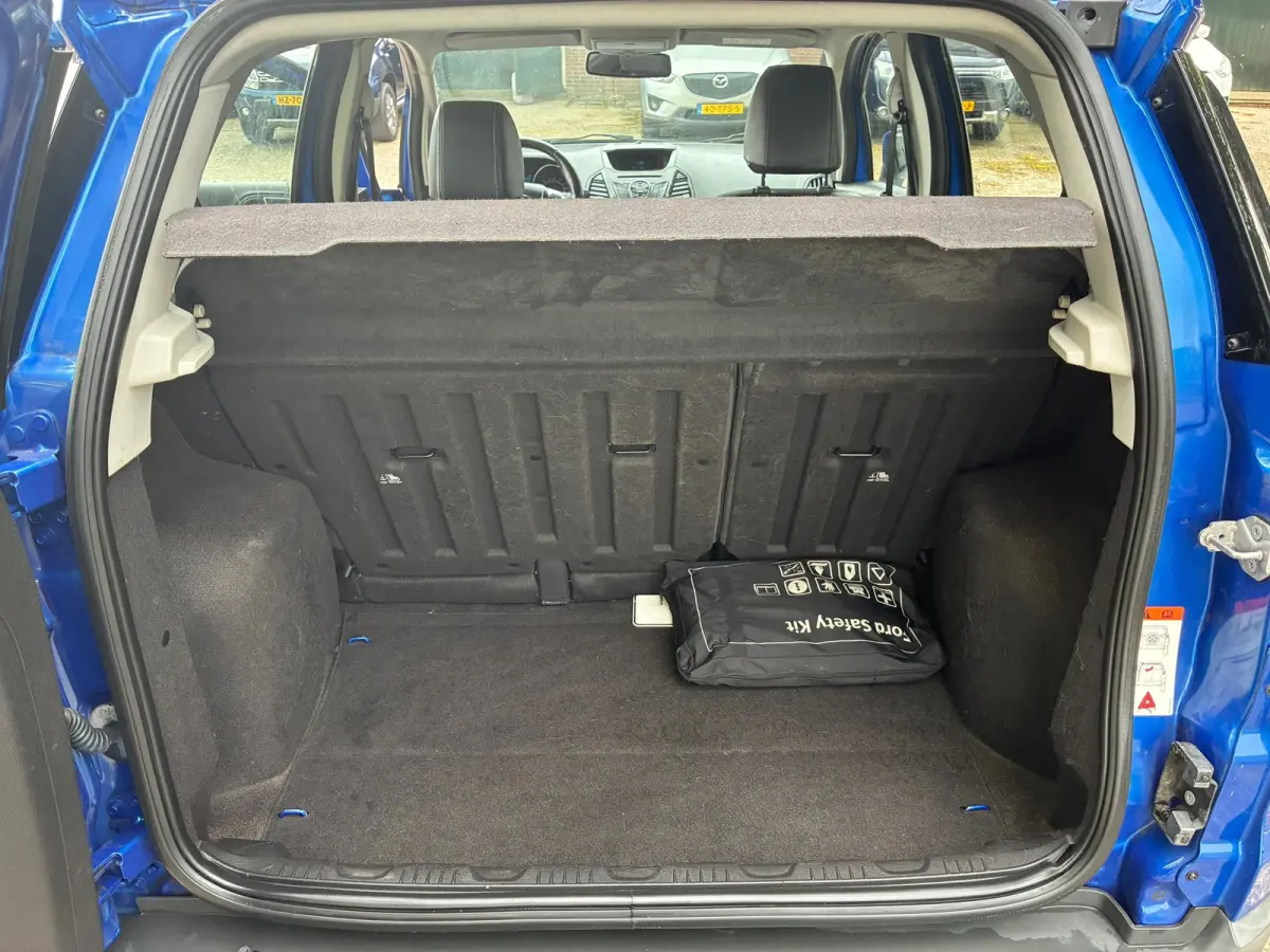 1.0 EcoBoost Titanium | Leder + Clima + Cruise nu €7.975,-!!