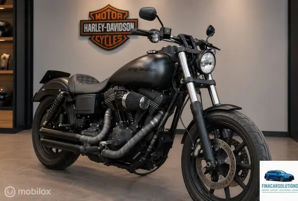 110 FXDLS Dyna S