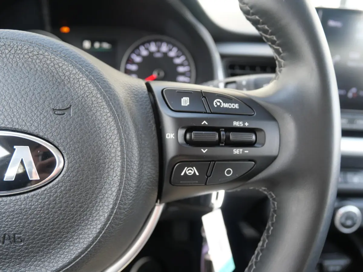 1.0 T-GDi MHEV DynamicLine | Camera | Carplay | LM |