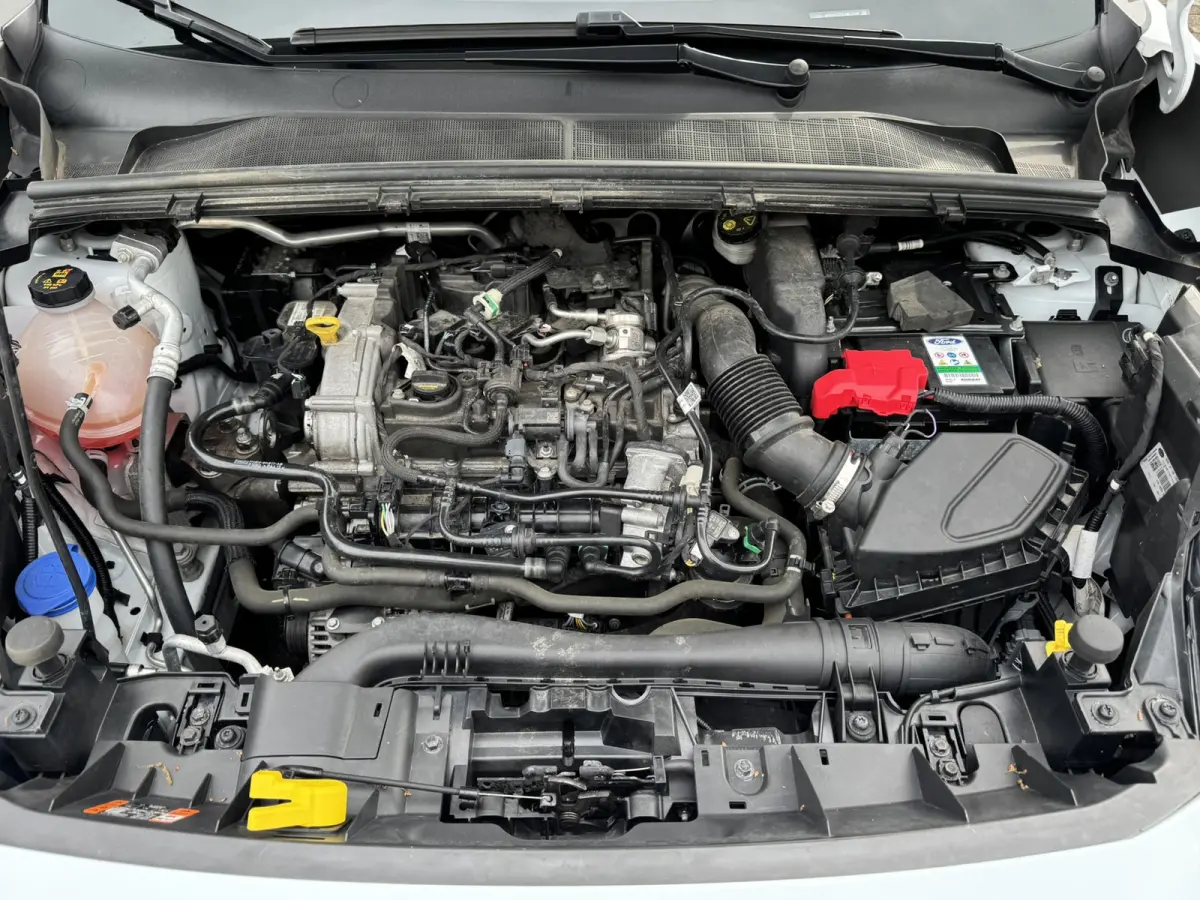 1.0 EcoBoost ST-Line Pano Carplay Clima Camera Stoelverwarming Stuurverwarming