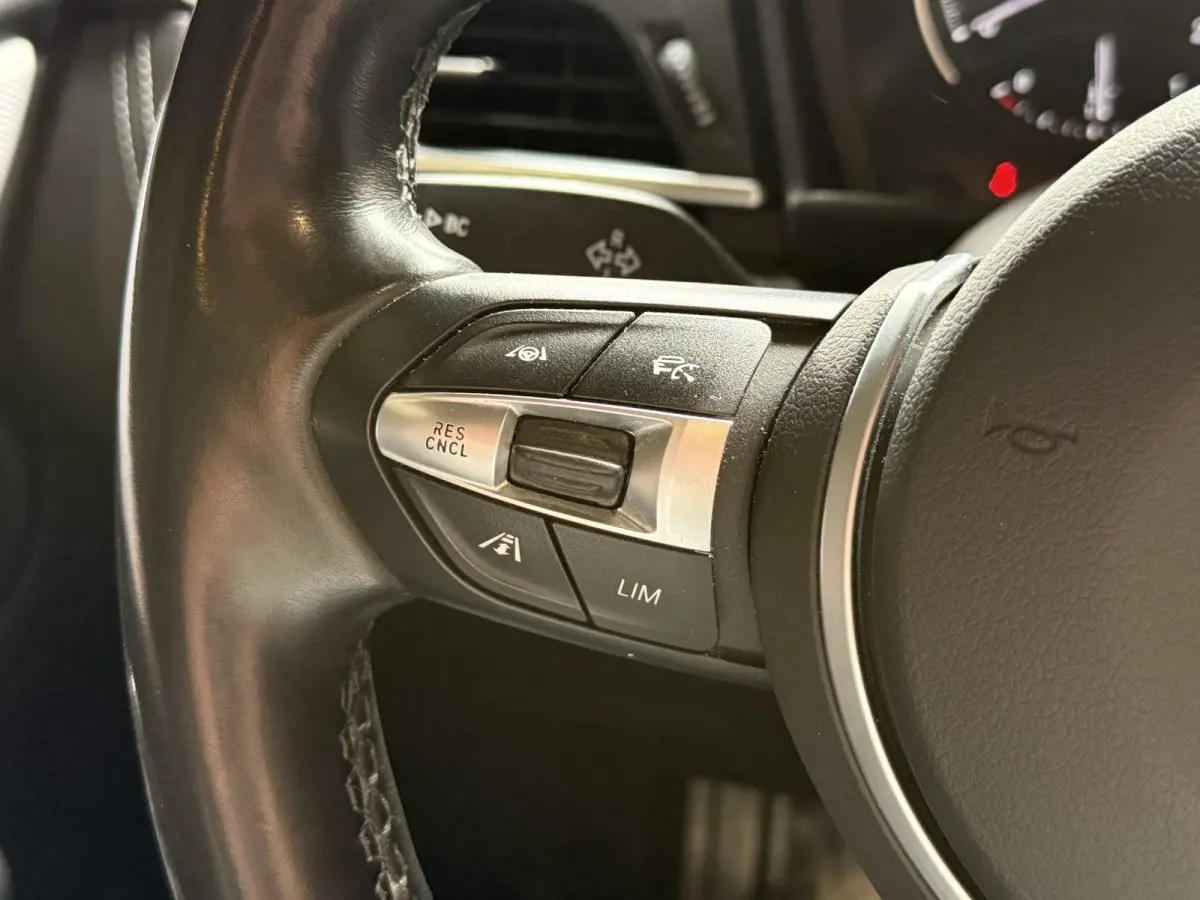 225xe iPerformance Executive | M-Sport | Panoramadak | Stoelverw.