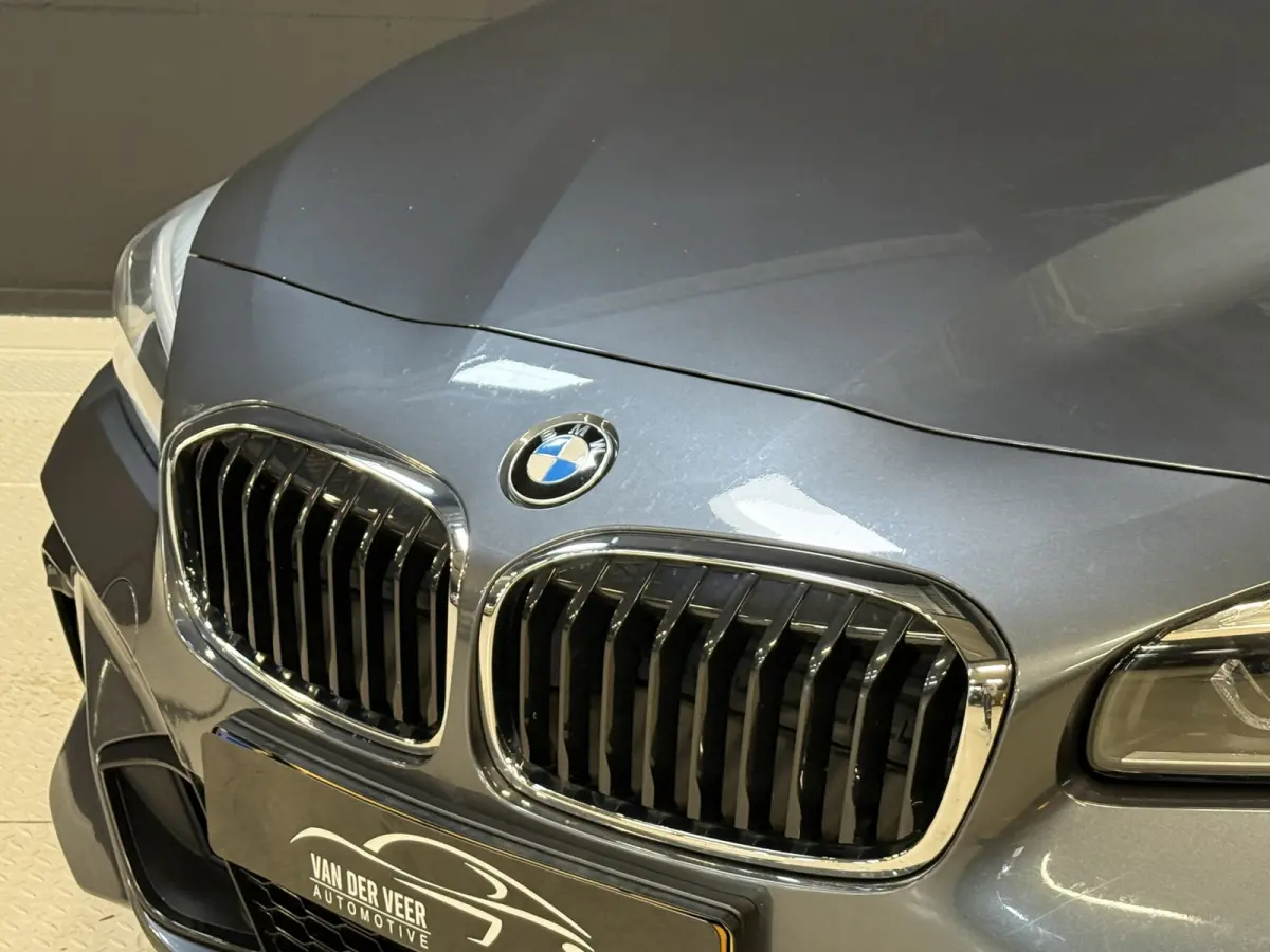 225xe iPerformance Executive | M-Sport | Panoramadak | Stoelverw.
