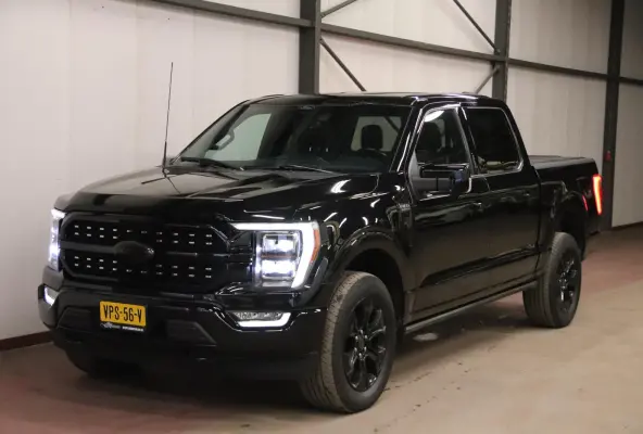 USA F-150 V6 EcoBoost PLATINUM