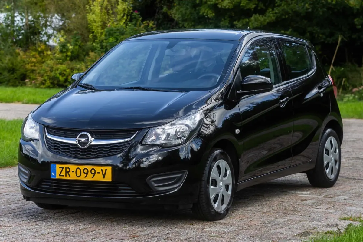 1.0 ecoFLEX 120 Jaar Edition 1e Eigenaar NL-auto + NAP