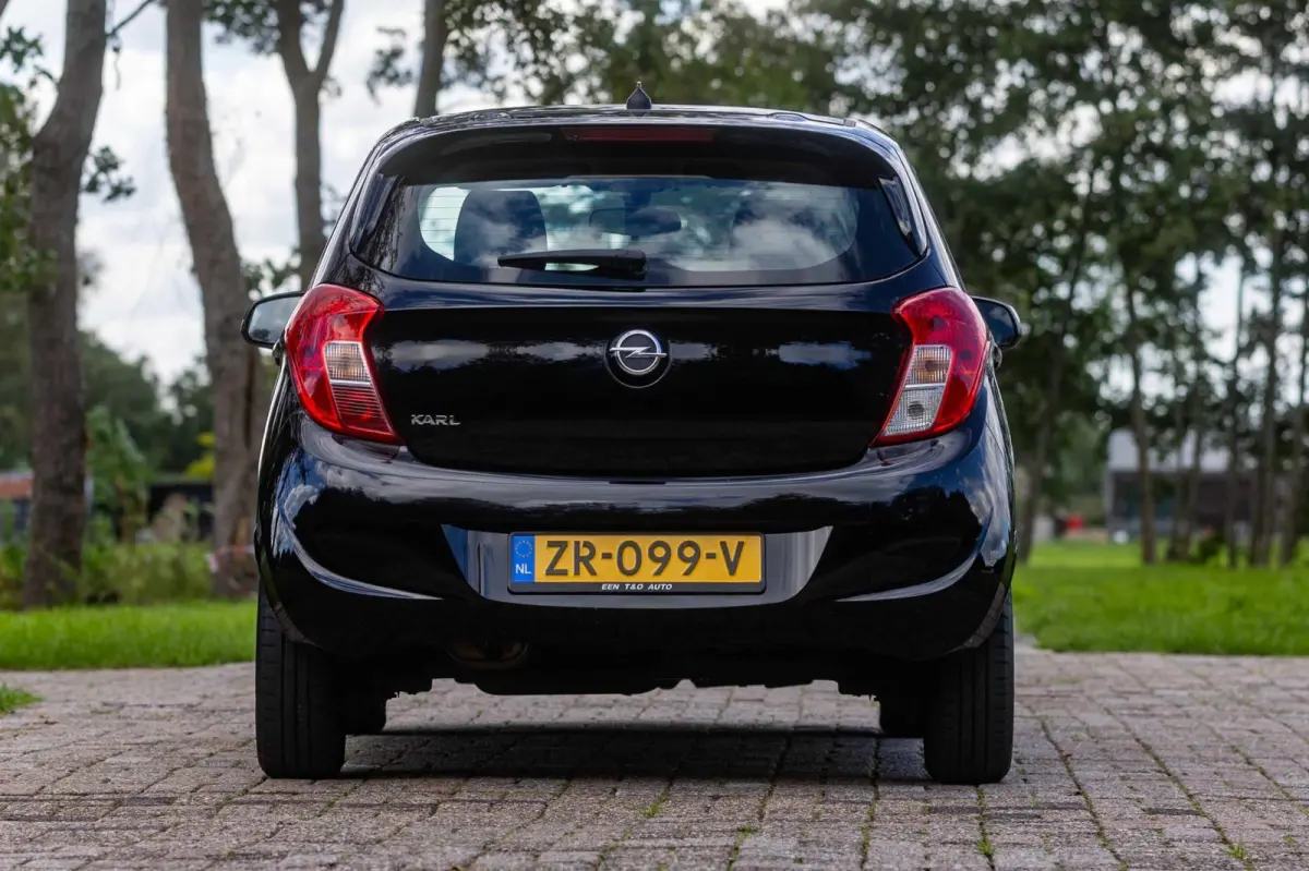 1.0 ecoFLEX 120 Jaar Edition 1e Eigenaar NL-auto + NAP