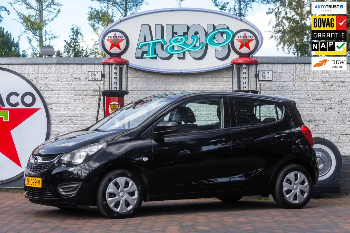 1.0 ecoFLEX 120 Jaar Edition 1e Eigenaar NL-auto + NAP