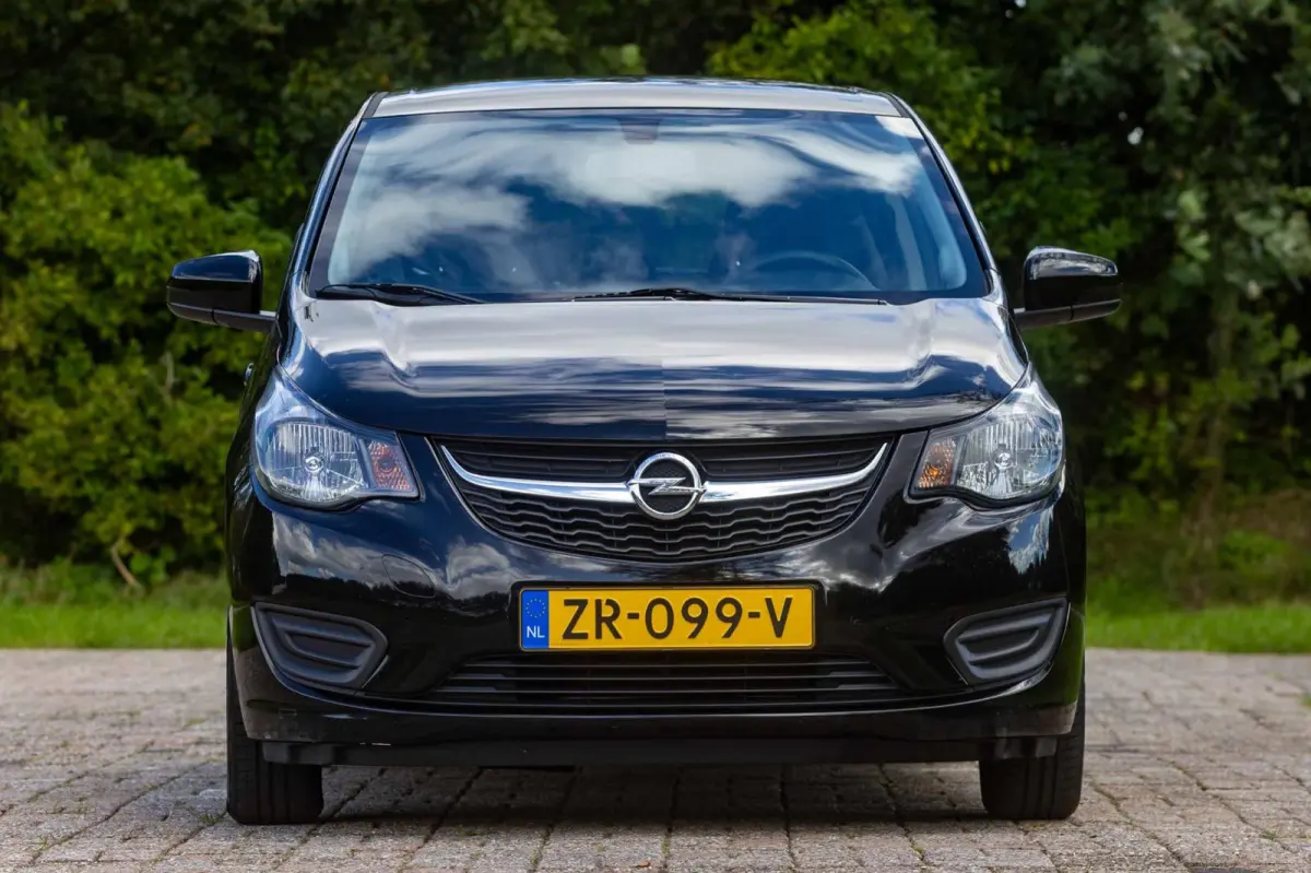 1.0 ecoFLEX 120 Jaar Edition 1e Eigenaar NL-auto + NAP