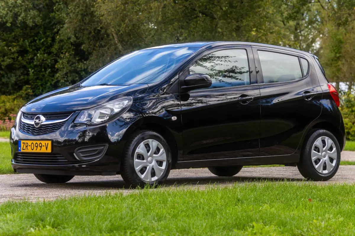 1.0 ecoFLEX 120 Jaar Edition 1e Eigenaar NL-auto + NAP