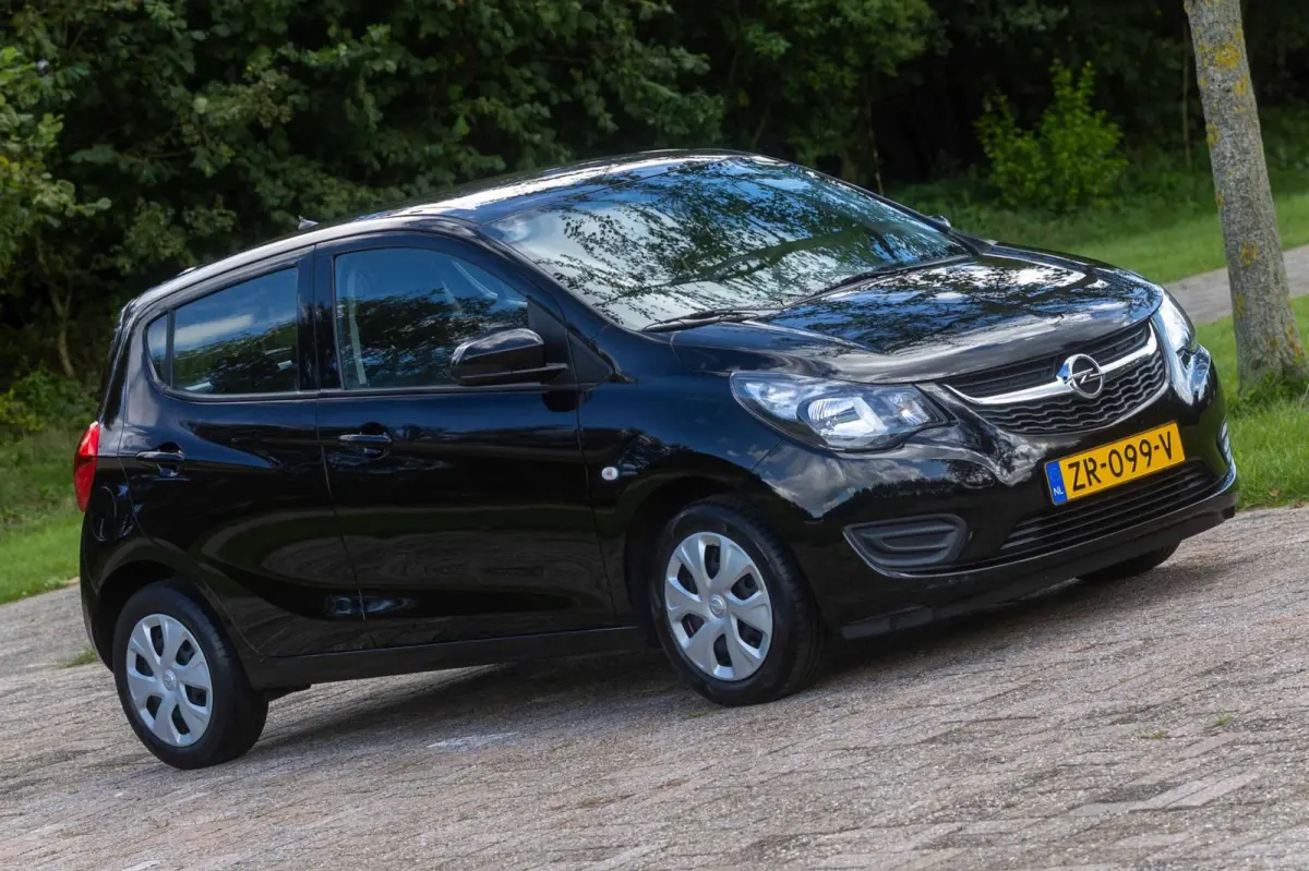 1.0 ecoFLEX 120 Jaar Edition 1e Eigenaar NL-auto + NAP