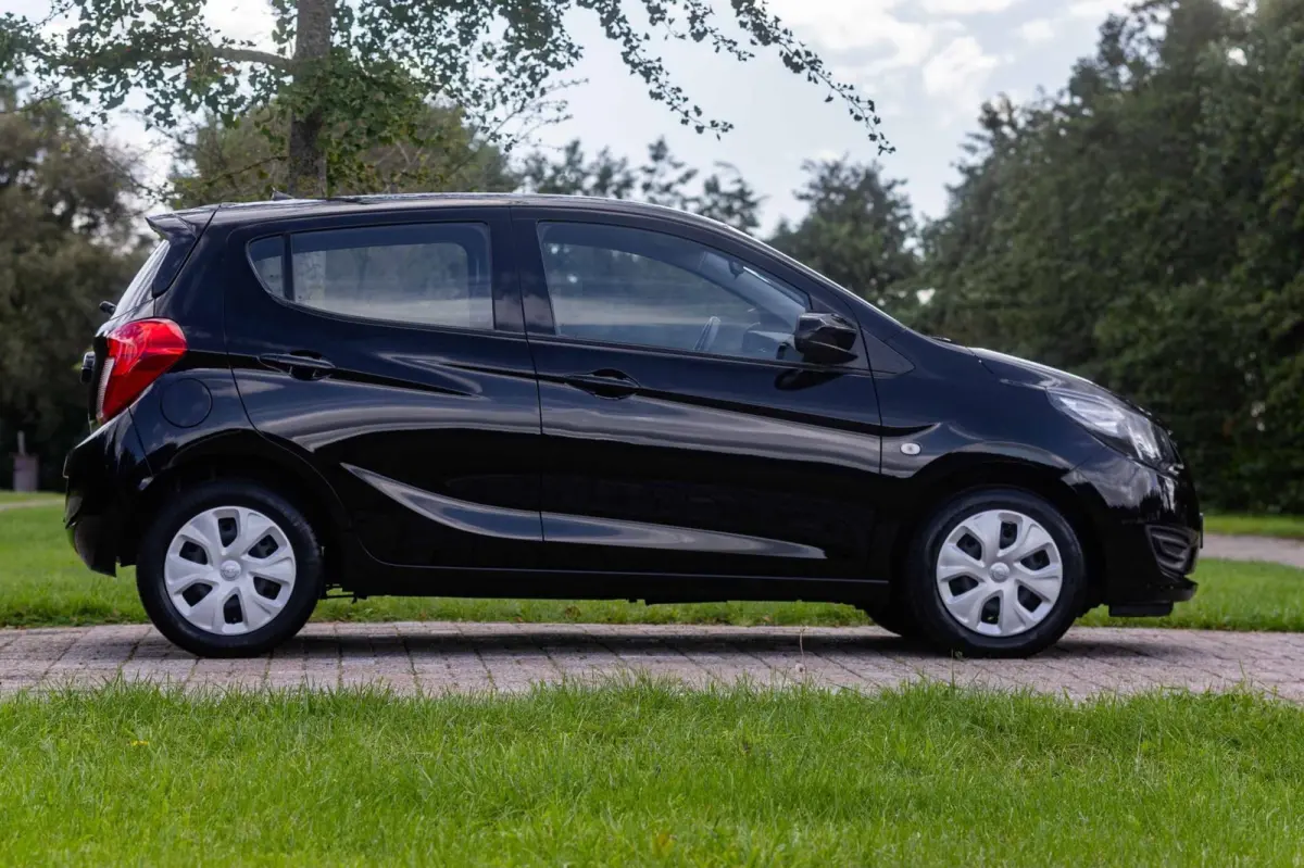 1.0 ecoFLEX 120 Jaar Edition 1e Eigenaar NL-auto + NAP