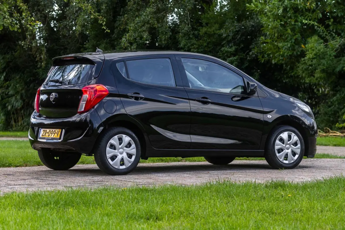 1.0 ecoFLEX 120 Jaar Edition 1e Eigenaar NL-auto + NAP