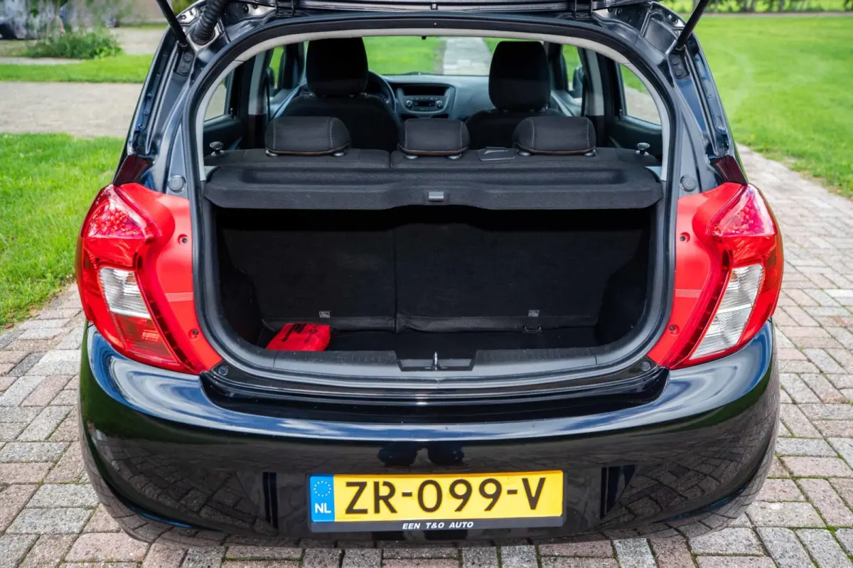 1.0 ecoFLEX 120 Jaar Edition 1e Eigenaar NL-auto + NAP