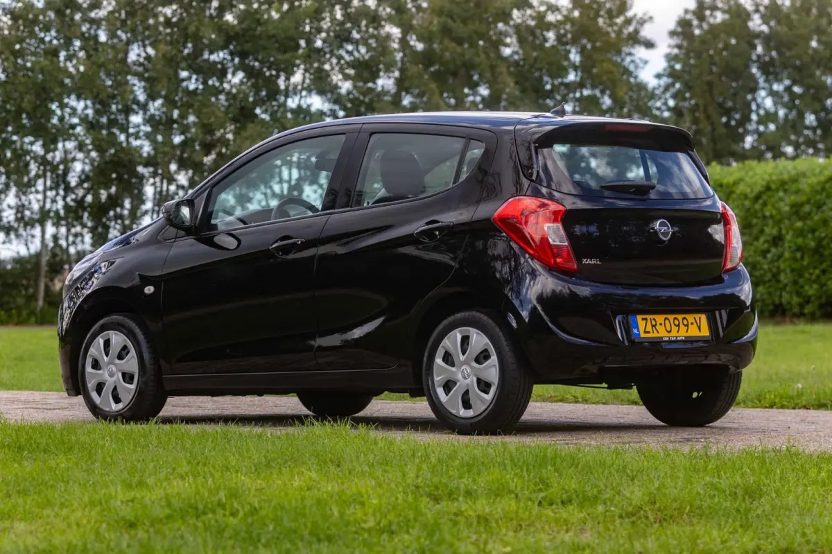 1.0 ecoFLEX 120 Jaar Edition 1e Eigenaar NL-auto + NAP