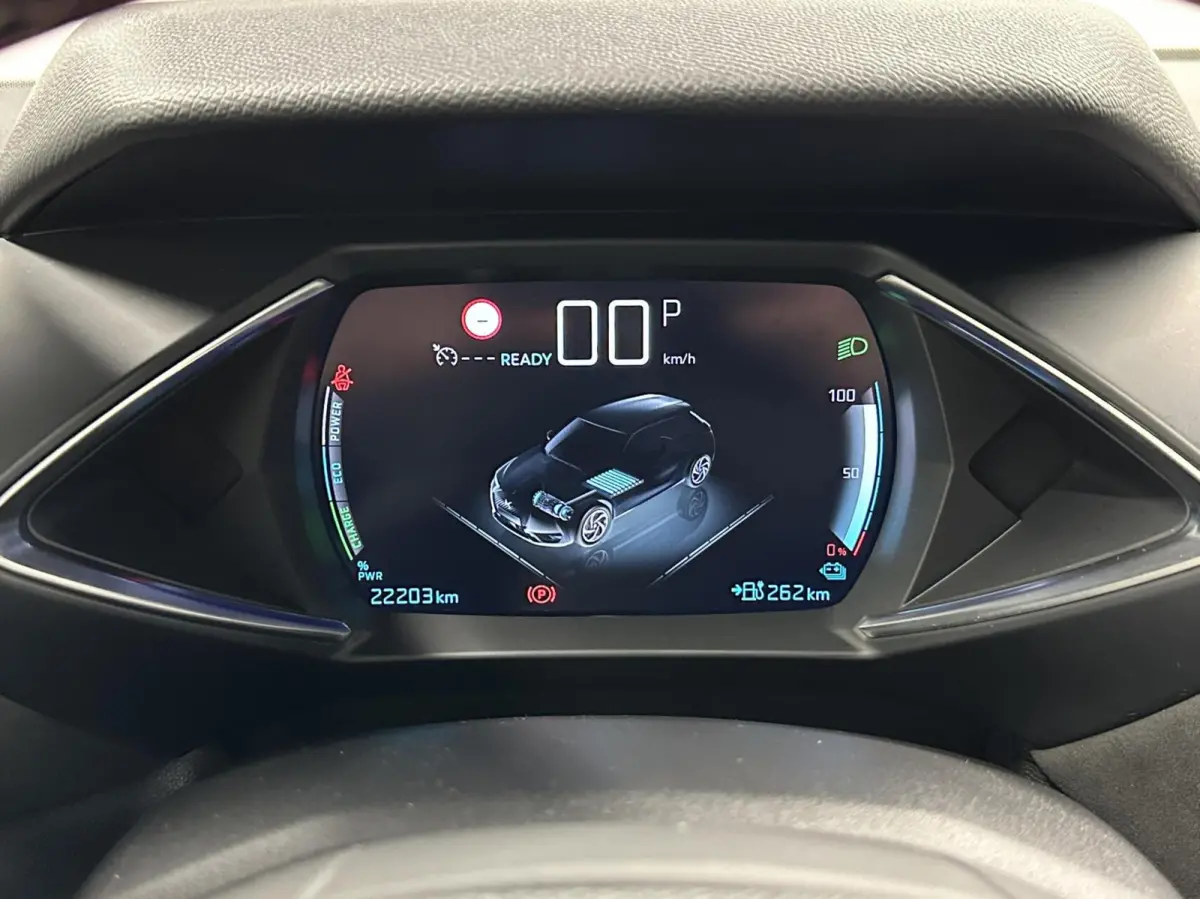 Performance Line 50 kWh 97 % SOH Fase CARPLAY NAVI.