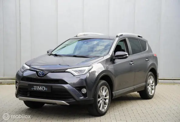 2.5 Hybrid AWD Style 1650 KG Trekgewicht
