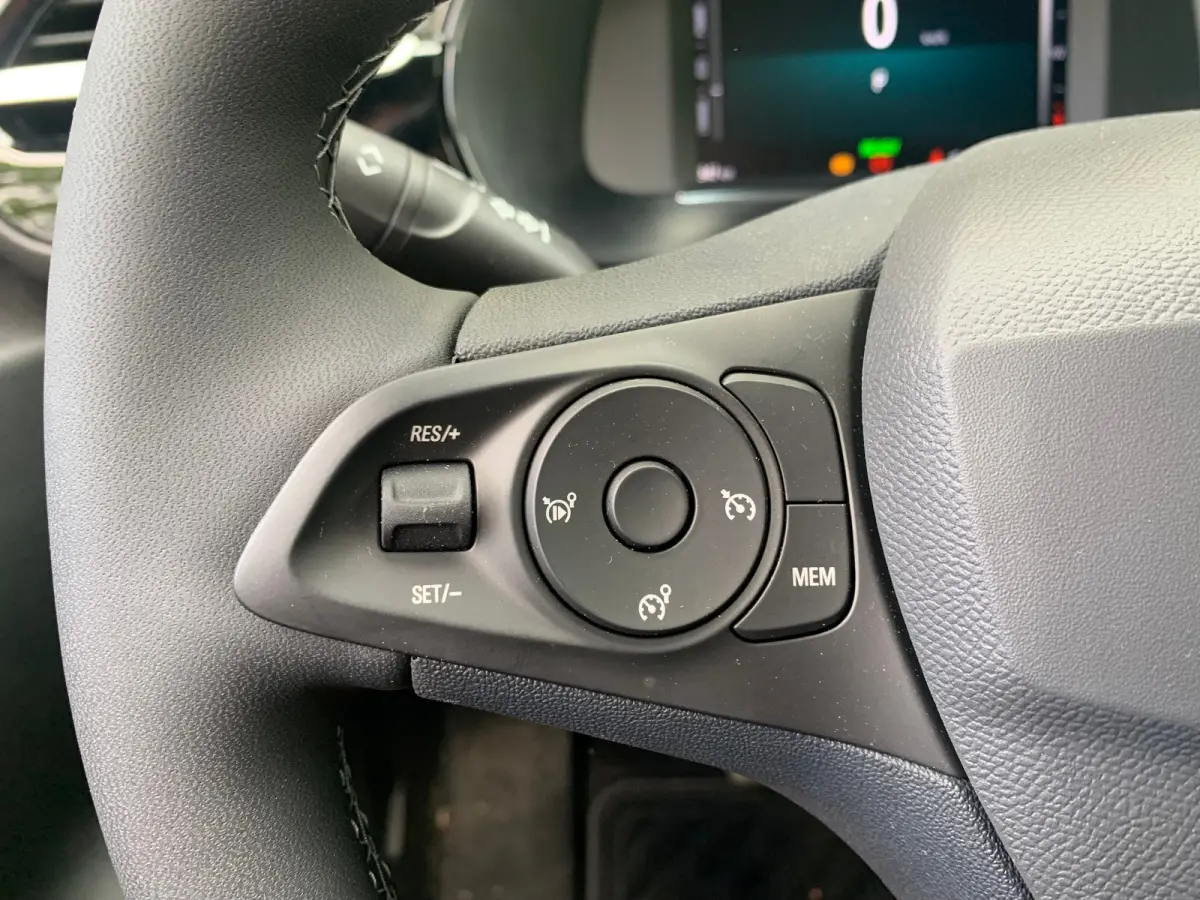 Electric Long Range GS 51 kWh Airco | Camera | Cruise Control | DAB | Keyless | LED | LMV 16" | PDC V&A |