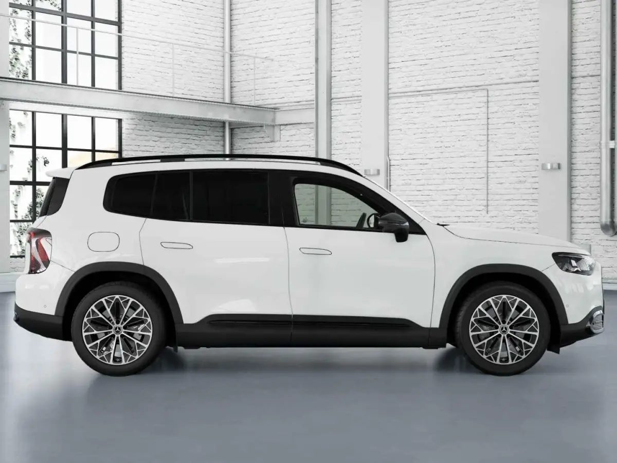 electric 250+ Business Solution Luxury 85.5 kWh