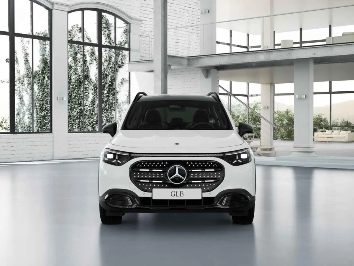 electric 250+ Business Solution Luxury 85.5 kWh