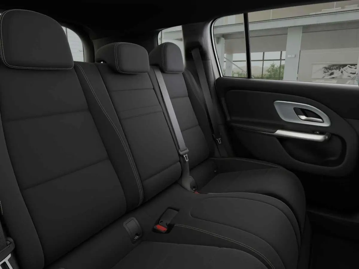 electric 250+ Business Solution Luxury 85.5 kWh