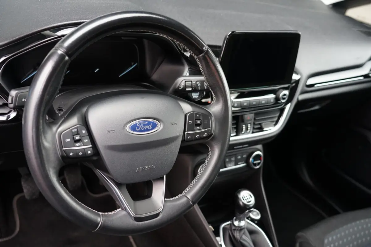 1.0 EcoBoost Titanium, NL, CarPlay, clima, cruise, LED