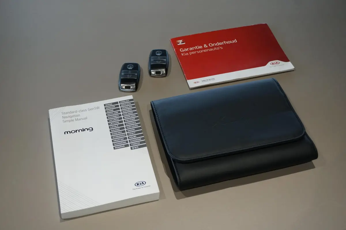 1.0 DPi GT-Line *dealer onderhouden* + CAMERA / LEDER / KEYLESS