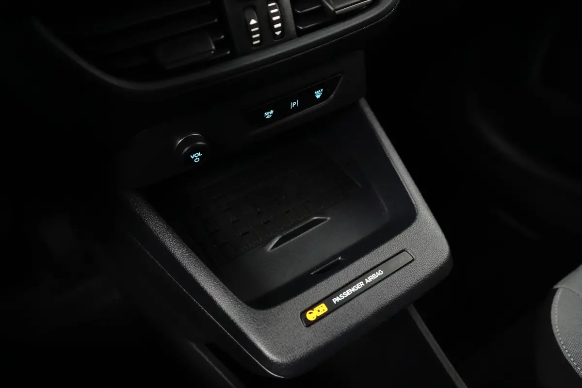 BEV Limited 44 kWh | Direct Rijden! | Stoelverwarming | Camera