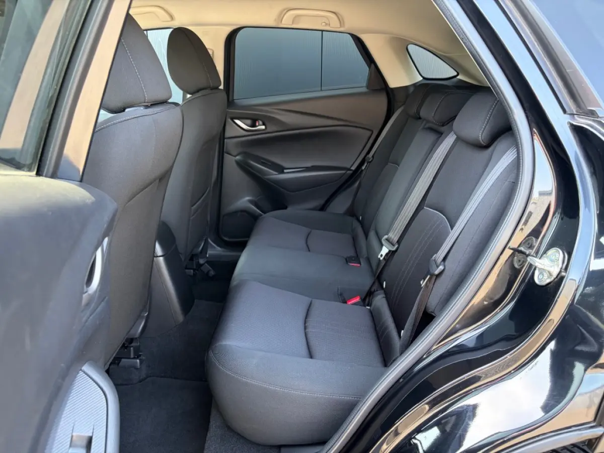 2.0 Sportive Carplay Android Cruise PDC NL-auto