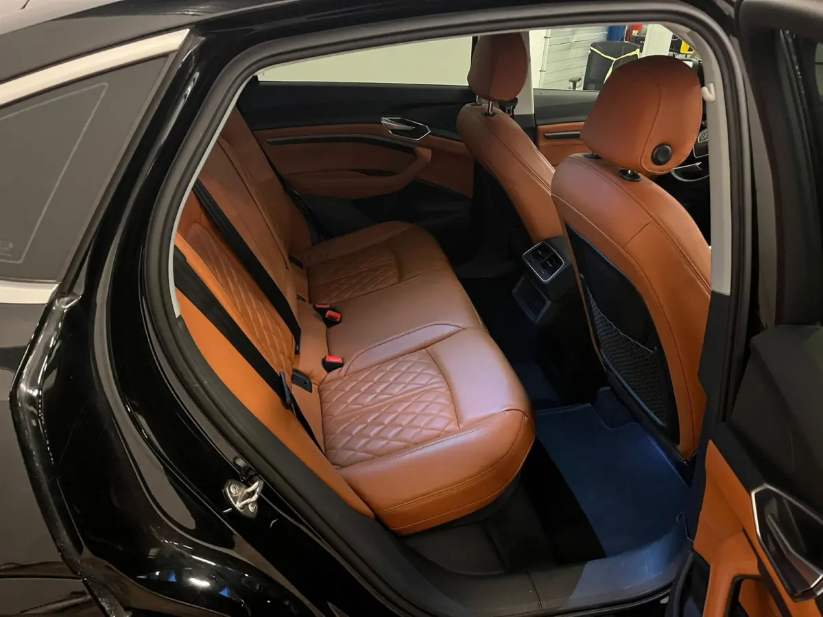 55 quattro S edition 95 kWh|NAP|INRUIL MOGELIJK|