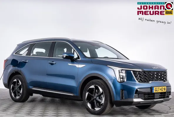 1.6 T-GDi Plug-in Hybrid 4WD DynamicLine 7-Persoons ✅ 1e Eigenaar