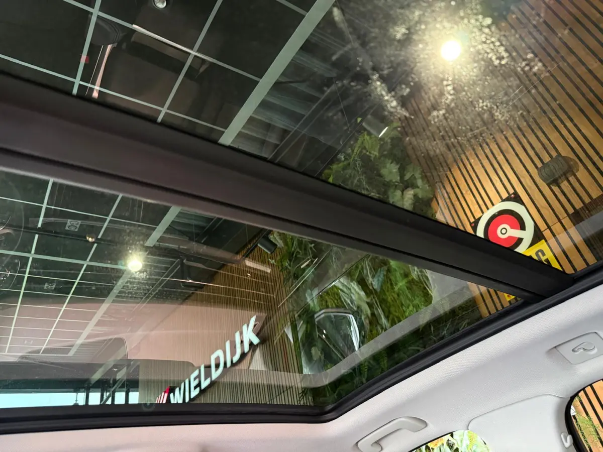 55 TFSI e quattro Pro Line Plus S linePano elek trekhaak