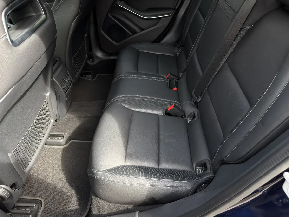 250 Premium Plus / Automaat / Camera / Trekhaak (1.500KG) /