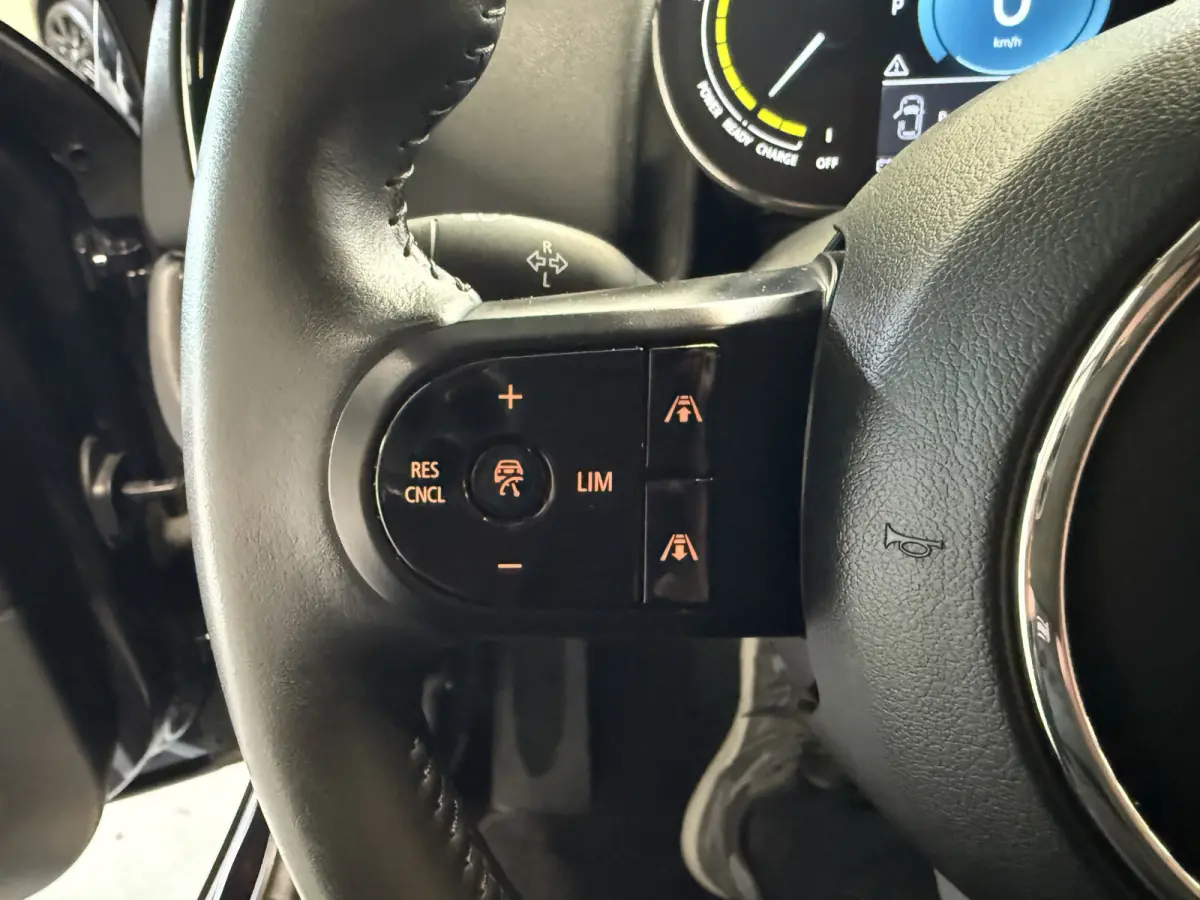2.0 Cooper SE ALL4 Pano/H&K/Leder/Camera