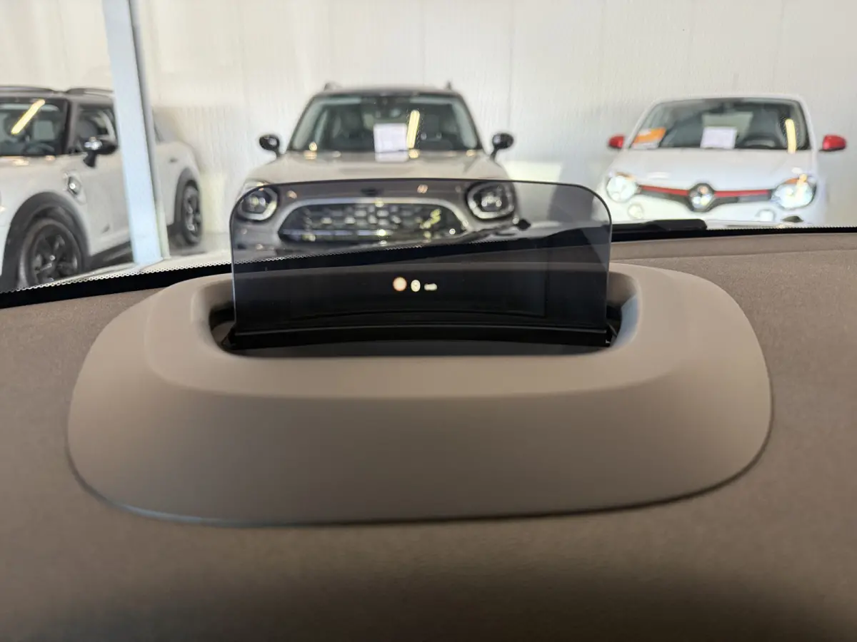 2.0 Cooper SE ALL4 Camera/Leder/Apple/Elec stoel