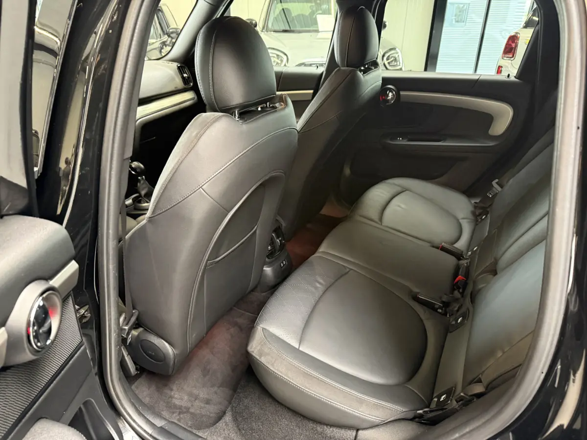 2.0 Cooper SE ALL4 Leder/Camera/Memory/Apple